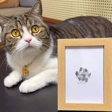 Load image into Gallery viewer, New Pet Paw Printing Kit