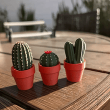 Load image into Gallery viewer, Potted Plant Stress Relief Toy