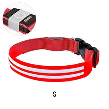 Load image into Gallery viewer, Dual Fiber Nighttime Luminous Dog Collar