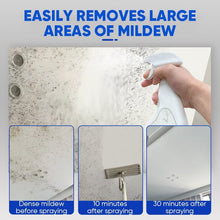 Load image into Gallery viewer, Fast Acting Anti-Mold Wall Cleaner Spray