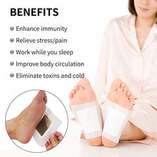 Load image into Gallery viewer, Herbal Detox Foot Pads