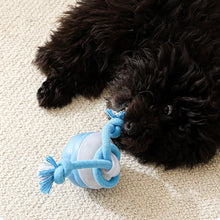 Load image into Gallery viewer, Interactive Smart Rolling Pet Ball