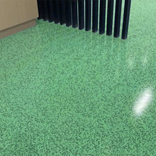 Load image into Gallery viewer, Epoxy floor paint