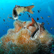 Load image into Gallery viewer, Bionic Swimming Lures Set