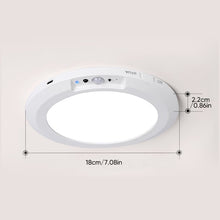 Load image into Gallery viewer, Motion Sensor Ceiling Light
