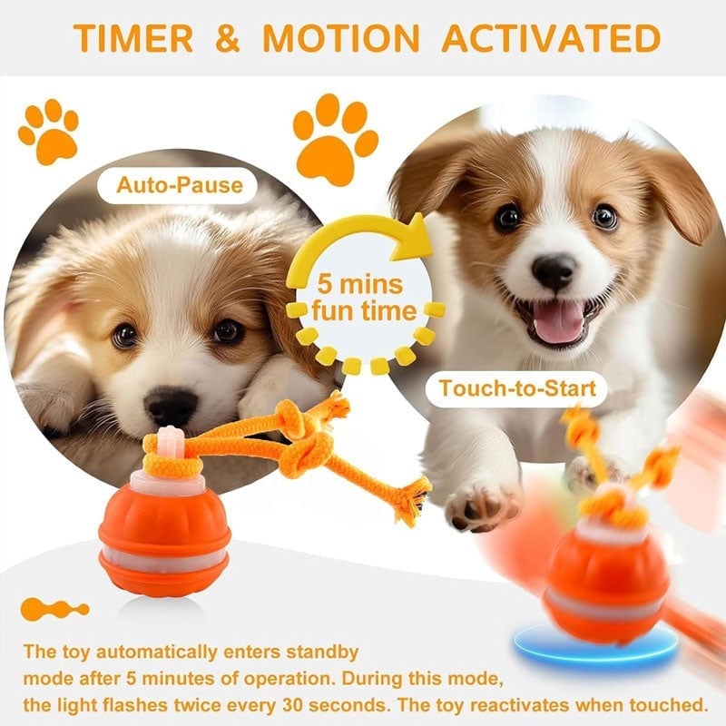 Interactive Smart Rolling Pet Ball