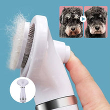 Load image into Gallery viewer, Pet Hair Dryer Brush