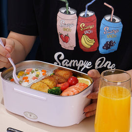 Electric Lunch Box Heater