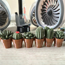 Load image into Gallery viewer, Potted Plant Stress Relief Toy