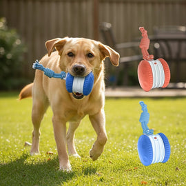 Interactive Dog Toys