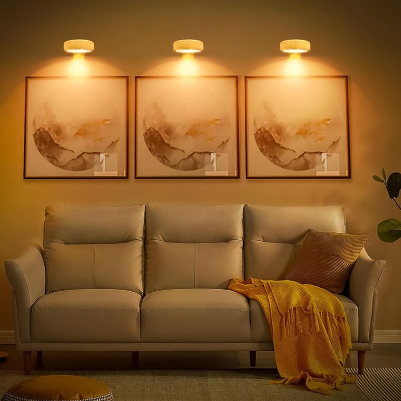 Picture Lights For Wall With 3 Color Temps - 3 Pack