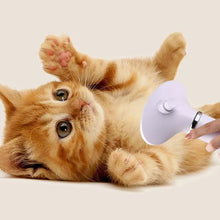 Load image into Gallery viewer, Pet Hair Dryer Brush