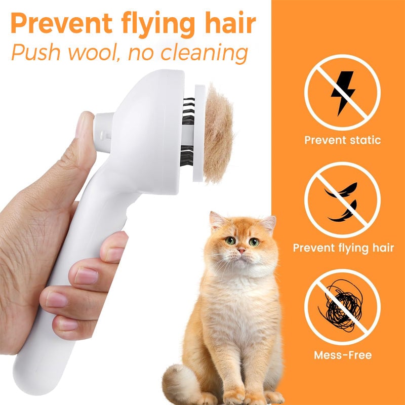 3 in 1 Spray Cat Brush