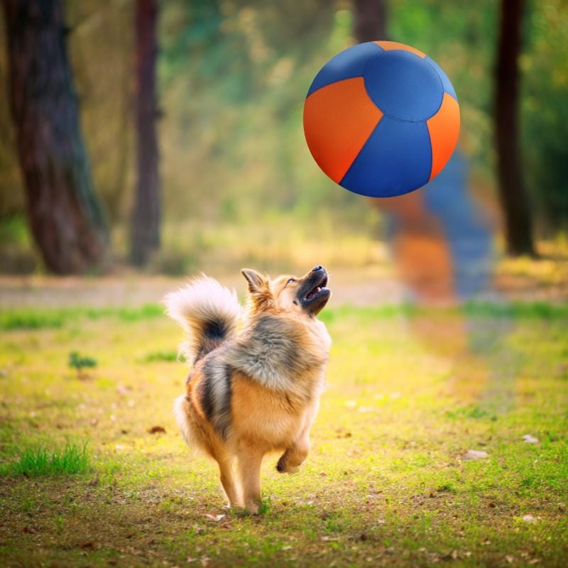 18" Dog Herding Ball