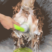 Load image into Gallery viewer, New 2 in 1 Pet Bath and Grooming Brush