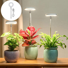 Load image into Gallery viewer, Indoor Plant Growth Light