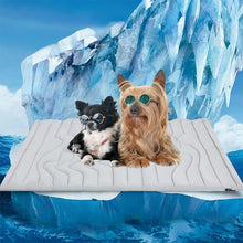 Load image into Gallery viewer, Pet Cooling Mat